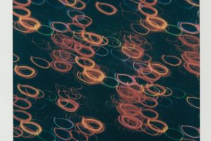 black-and-brown-floral