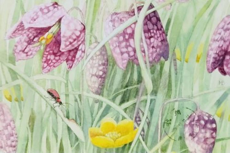 From Germany[2020.10]