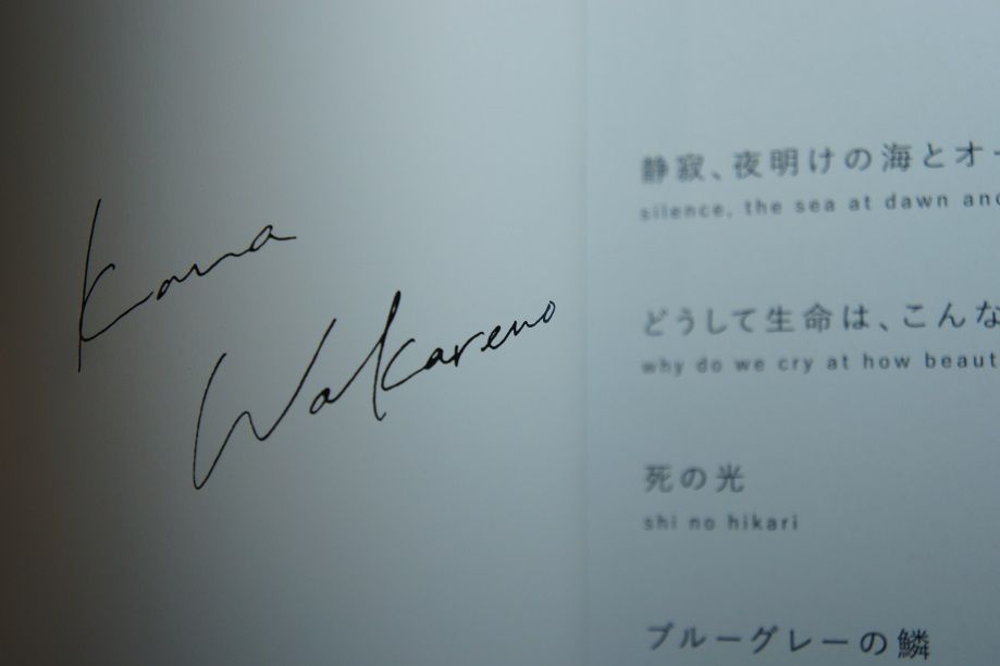 別野加奈 death has light – CD Listening